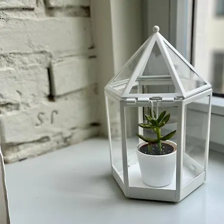 Library House Quiet&compact 2 Rooms&beds Apartment Riga